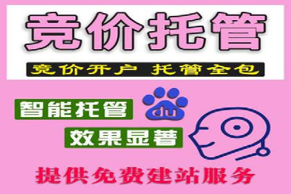 行业领先企业的sem竞价托管经验分享与案例解析